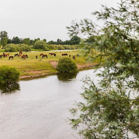 Thoeles*** Am Allerpark Verden Verden an der Aller Esterno foto